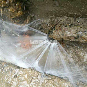 东台消防管道漏水检测